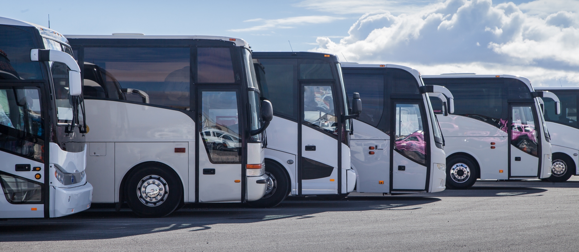 © Shutterstock / CK Foto